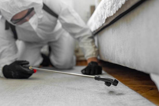 Professional Ant Control technician working in Pinewood Estates, TX