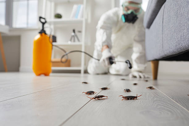 Trusted Cockroach Control service in Pinewood Estates, TX - Nex Pest Control